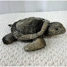 Russ Berrie Terrapin Plush Stuffed Animal Toy Green Turtle Beanie 7" Small