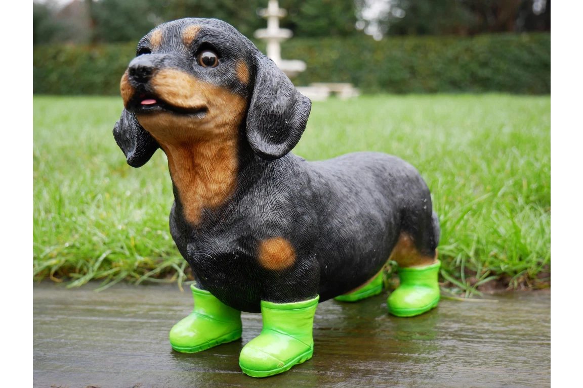 Cute Dachshund Dog with Little Green Boots Ornament Sculpture ...