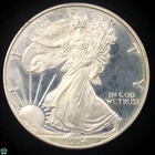 2004-W American Silver Eagle Proof