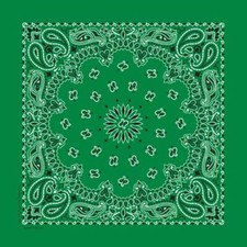 Carolina Creative Bandanna Kelly Green Paisley Print 22" x 22" Hav-A-Hank