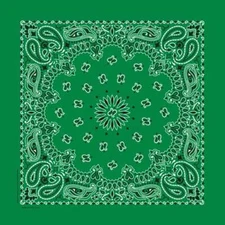 Carolina Creative Bandanna (Kelly Green) Paisley Print 22" x 22" Hav-A-Hank