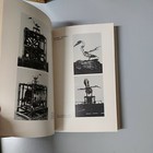 Foto 9 di 12