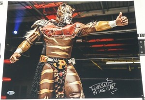 puma king cmll