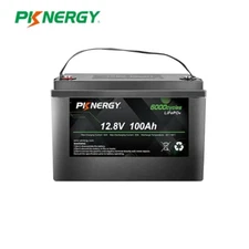 1Pack 12V 100Ah LiFePO4 Lithium Battery 2000Cycles for Solar Panel