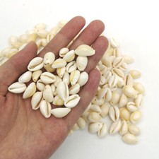 50x White DIY Sea Shell Cowrie Cowry Charm Beads Beach Bracelet Earring Jewelry