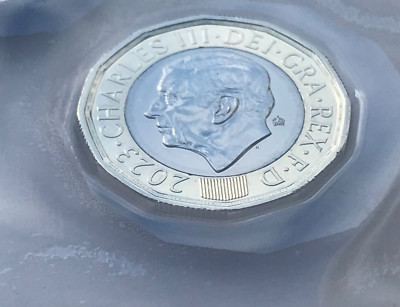 COIN ONE POUND 1 2023 LEFTIE LEFTY BU SPECIAL PRIVY BEES IN HAND