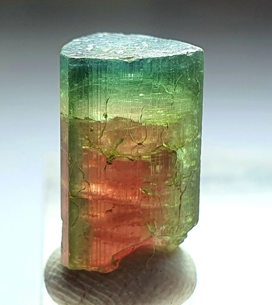 Watermelon tourmaline crystal for sale sale