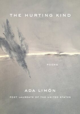 Hurting Kind, Hardcover by Limo´n, Ada, Brand New, Free shipping in the US