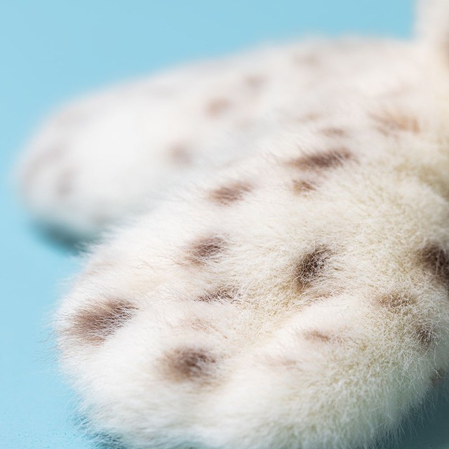 Galumphous Seal 27cm Soft PlushJellycatToy Doll Stuffed Animal Toy Gifts NWT