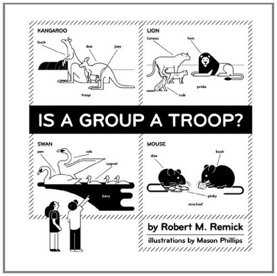 IS A GROUP A TROOP By Robert M. Remick & Lynn Webster **BRAND NEW**