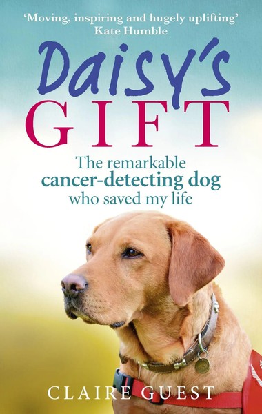 Claire Guest | Daisy's Gift | Taschenbuch | Englisch (2017) | Ebury Publishing-image