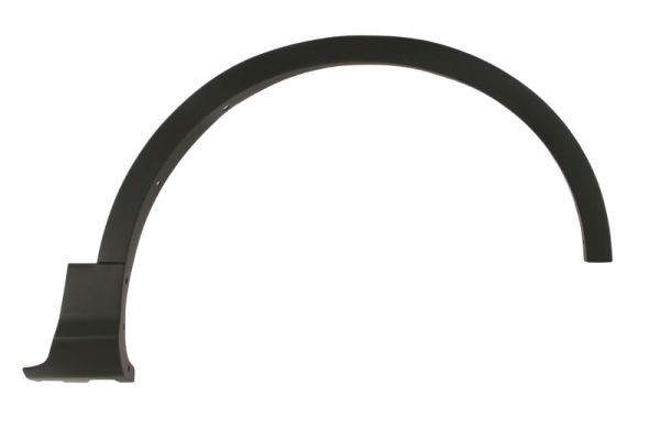 Right Front BLIC 5703-08-2579376P Trim/Protection Strip, wing for FORD