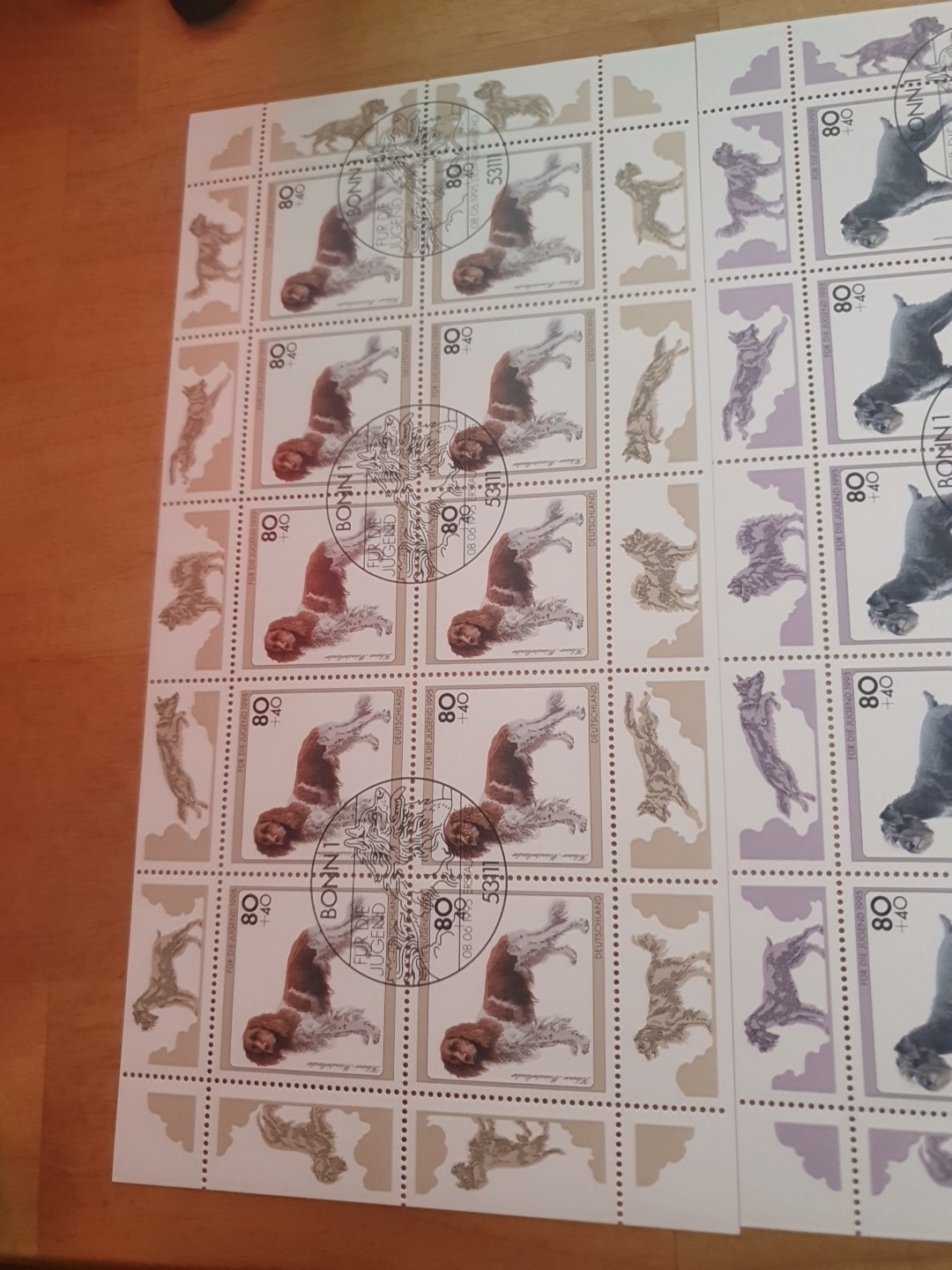 Bild 2 von 6