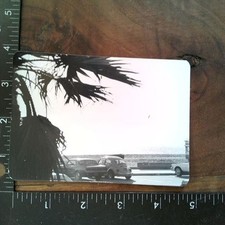 Beach Scene Vintage Cars 1950s Snapshot Photograph Coastal Palm Trees Americana