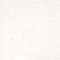 Derwent Procolour Bleistift - chinesisch weiß (72)