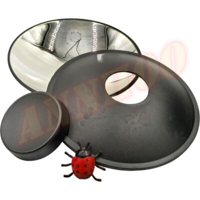 1x for Physical Mirage 3D virtual object imaging Concave mirror - ladybug