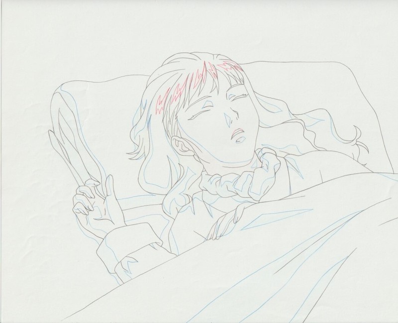 The Twelve Kingdoms Juuni Kokki Genga Douga Original Sketches Pierrot - Youko