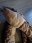 Bild 3 von 3