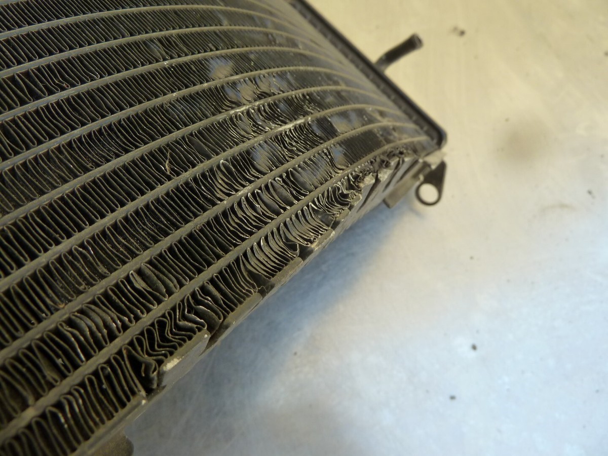 1994-2003 Kawasaki ZX9R ZX 9 R Radiator & Fan #G2 | OE