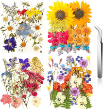 111 Pcs Dried Pressed Flower Leaf Kit for Resin Crafts  DIY Art Decor Projects 