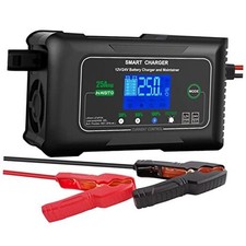 25 Amp Lithium Battery Charger, 12V and 24V Lifepo4,Lead Black