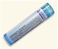 Boiron Cocculus indicus 30C   80 pellets