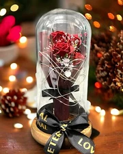 SINT Preserved Rose Gifts for Women Forever Real Rose in Glass Dome Rose Flow...