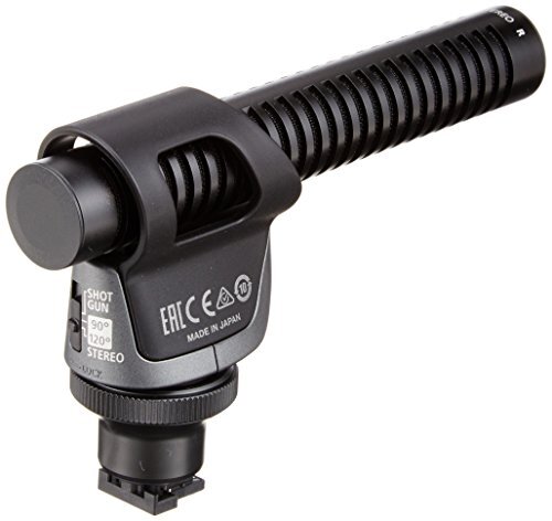 Canon Directional Stereo Microphone DM-100 705105913032| eBay