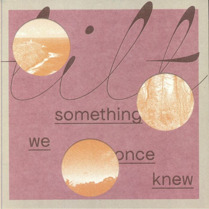TILT - Something We Once Knew - Vinyl (LP + MP3 download code)