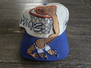 Dunk Hat | eBay