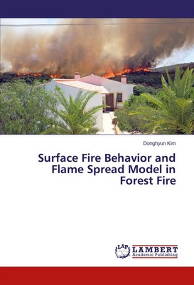 Donghyun Kim | Surface Fire Behavior and Flame Spread Model in Forest Fire
