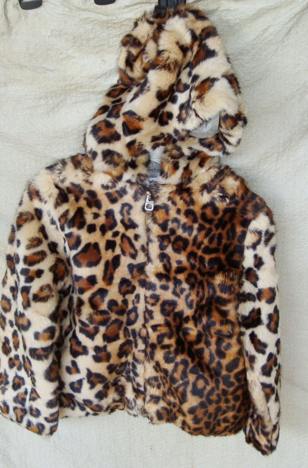 splendid leopard jacket