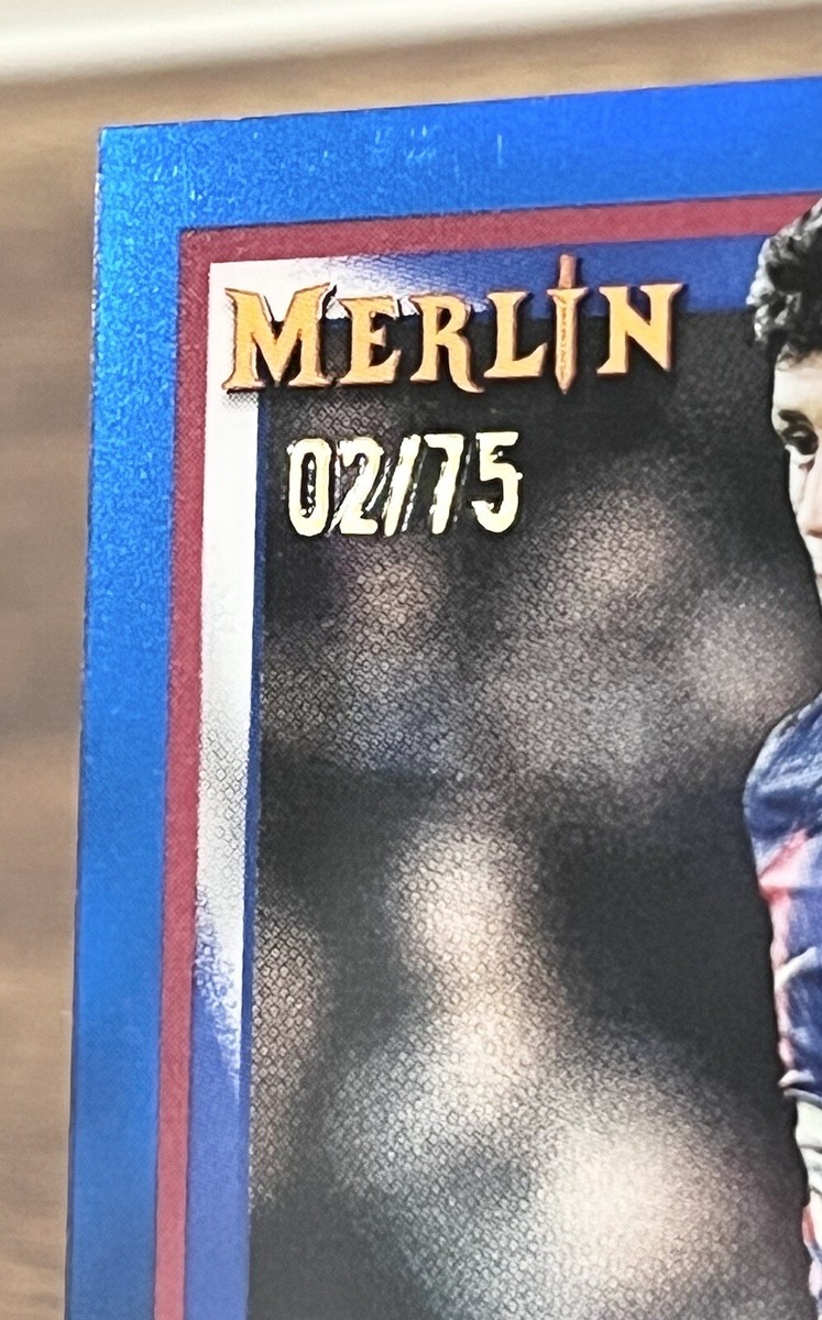 22-23 Topps Merlin  DEL PIERO 直筆サイン　75シリ 22-23 Topps Merlin DEL PIERO 直筆サイン 75シリ