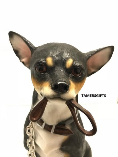 Sitting with Lead in Mouth Tan Black Chihuahua Dog Statue BNIB Chihuahua Lovers - Picture 2 of 3