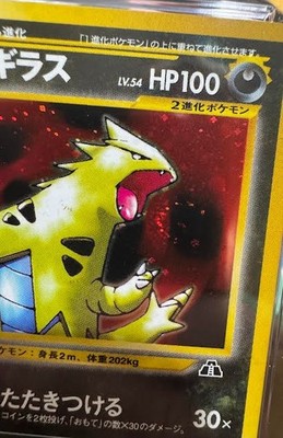 Tyranitar Crossing the Ruins Holo (Japanese) for sale online | eBay