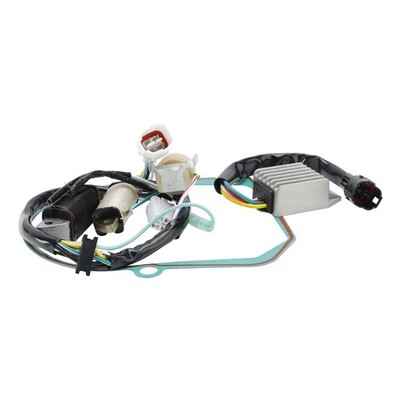 Lichtmaschine Stator Regler Dichtung für Yamaha YFM 50 80 Raptor Grizzly Badger