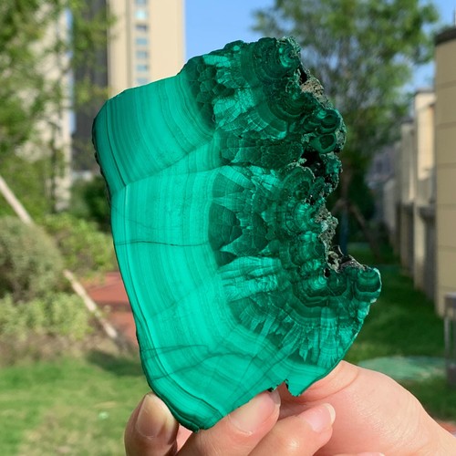 335G Malaquita Natural Brillante Transparente Racimo Muestra Mineral Áspero - Imagen 15 de 19
