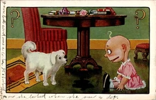 Dog and Baby 1905 humor Postcard