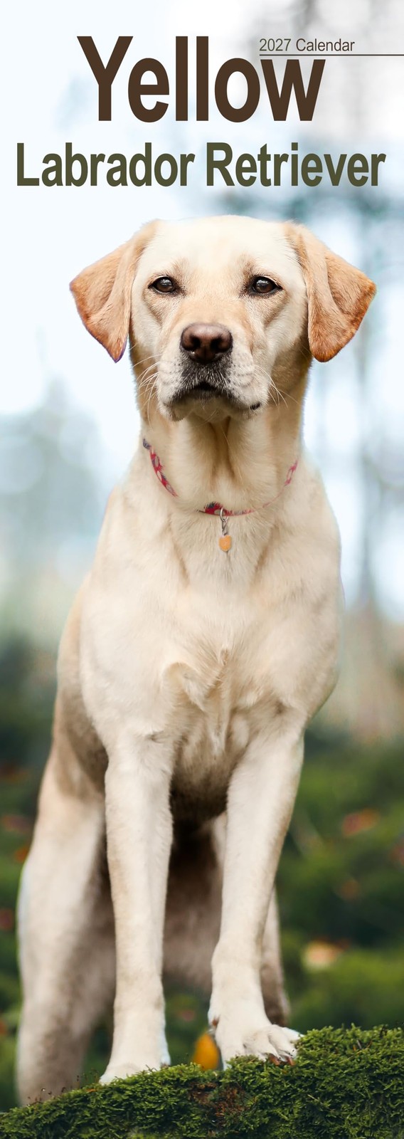 Yellow Labrador Retriever Slim Calendar 2027 - Image 3