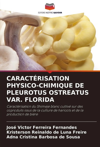 José Victor Ferreira Fernandes (U. A.) | CaractÉRisation PHYSICO-CHIMIQUE De...-image