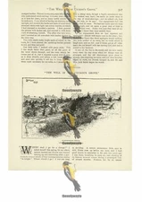 Llandrindod Wells, Wales, Victorian Book Illustration (Print), 1892