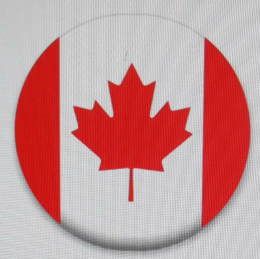 2 Samsung Microwave Filter DE6300666A ME16H702SES ME20H705MSB 6 3/8" x