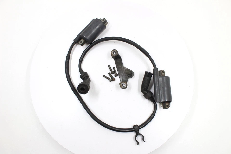 Yamaha Virago 250 1996 bobinas de encendido OEM Foto 3 de 4