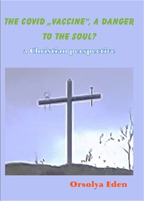 The Covid 19 Vaccine A Danger To Your Soul? A Christian Perspective (Paperback O