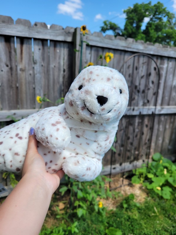 Jellycat Sigmund Seal NWT Perfect Tags