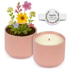 The Growing Candle, Chai Scented, 8oz Ceramic Pot, Aromatherapy Candles for H...