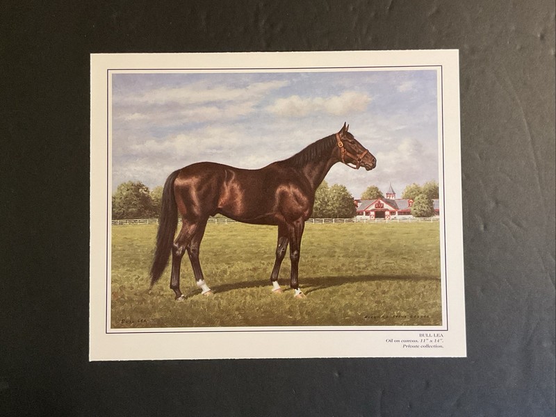BULL LEA Photo Oil Painting 9 X 7 Horse Racing CHAMPION SIRE  CITATION