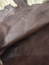 Genuine lizard iguana skin, genuine iguana leather, Exotic leather