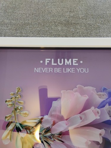 Flume Never Be Like You RIAA Album Award Platinum 1 Mi Gold Music Record Rare - Picture 2 of 19