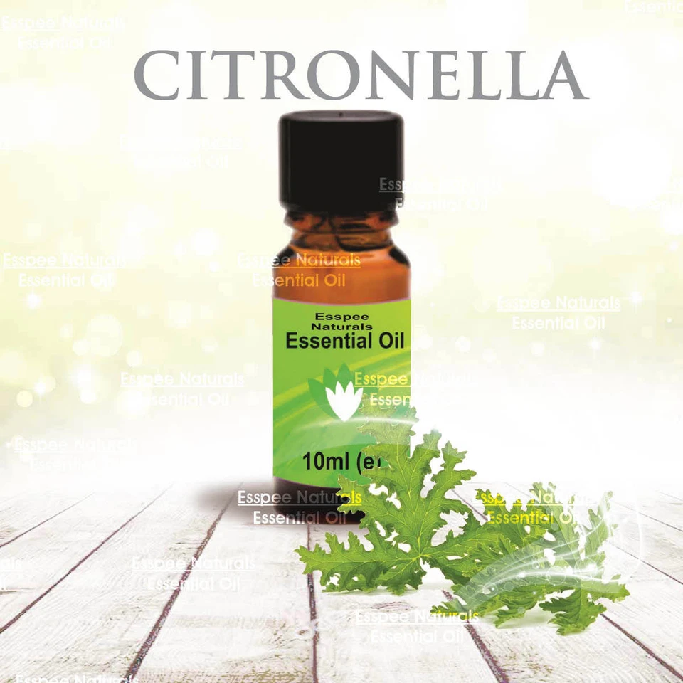 ESSPEE NATURALS Citronella Essential Oil 10ml - 100% Pure - For Aromatherapy & Home Fragrance